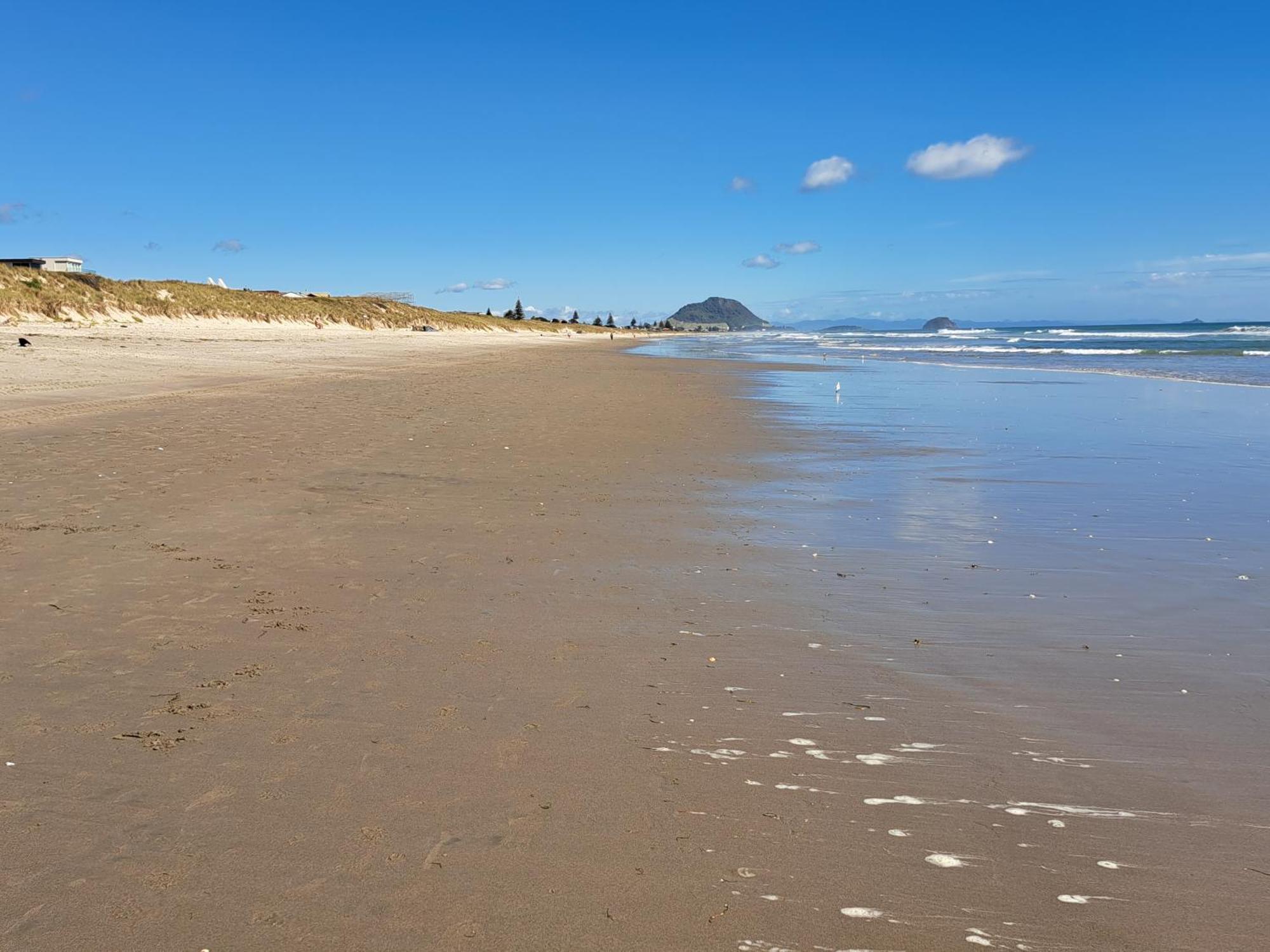 Sunbrae Beach Sanctuary Free High Fibre Wifi Mount Maunganui Ngoại thất bức ảnh