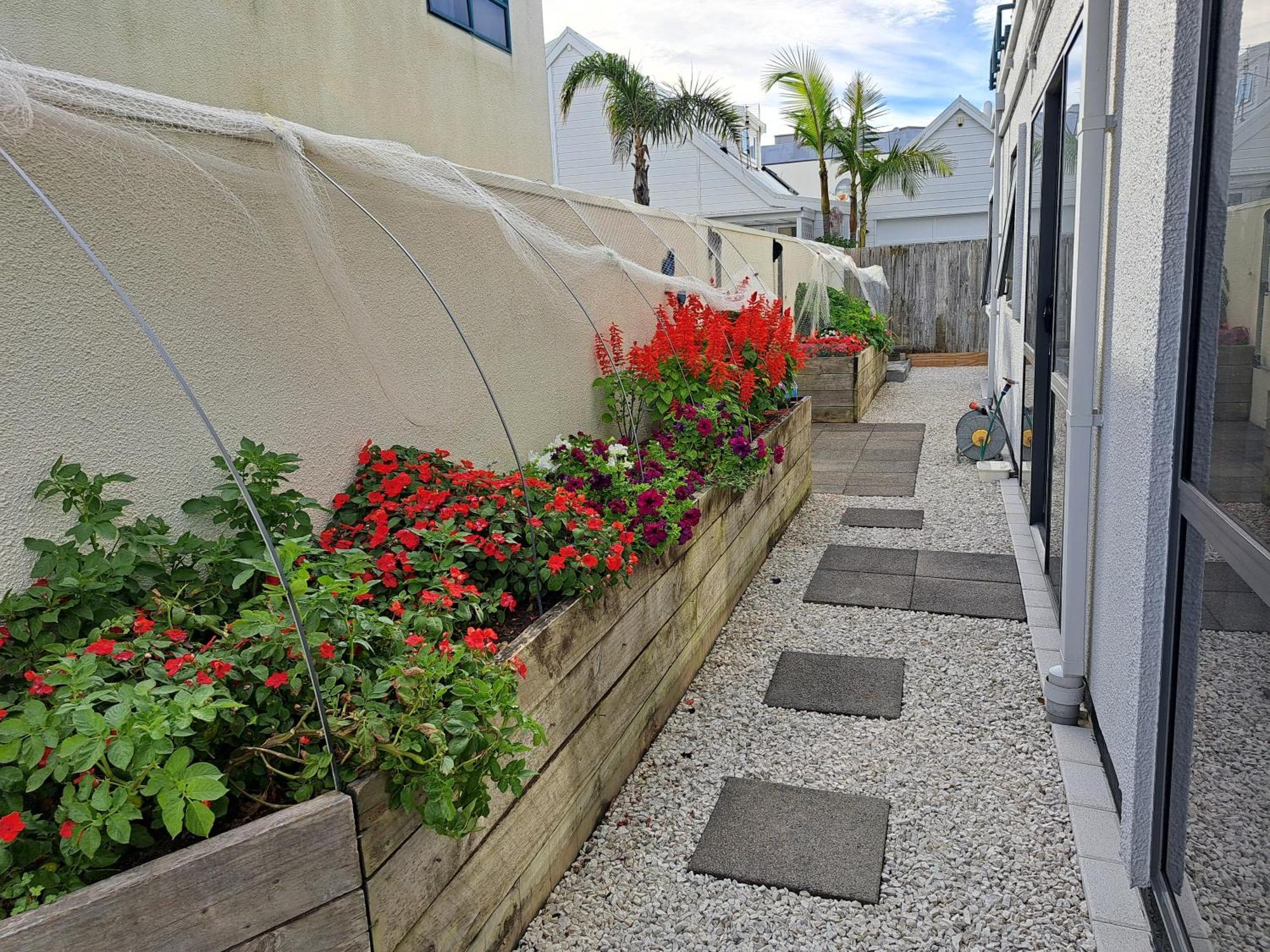 Sunbrae Beach Sanctuary Free High Fibre Wifi Mount Maunganui Ngoại thất bức ảnh